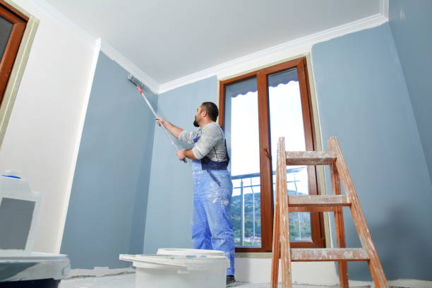 Best Biohazard Mold Removal  in Lake Elmo, MN
