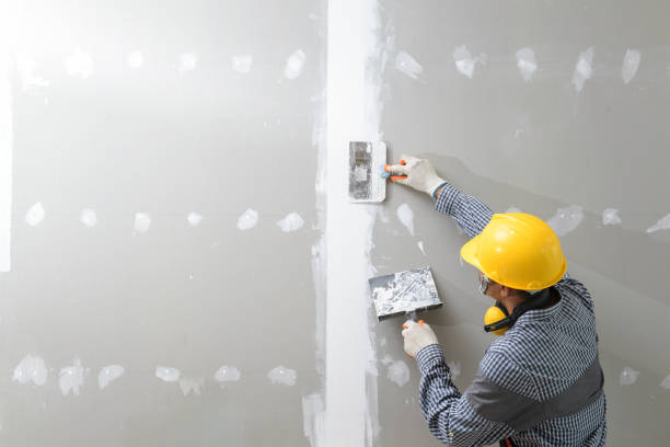 Best Post-Remediation Verification Testing  in Lake Elmo, MN