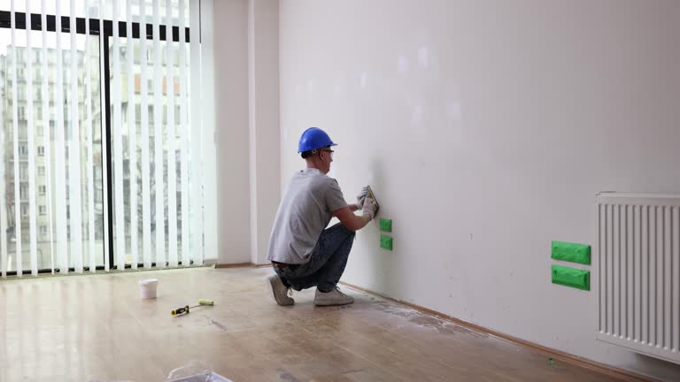 Best Mold Damage Restoration  in Lake Elmo, MN