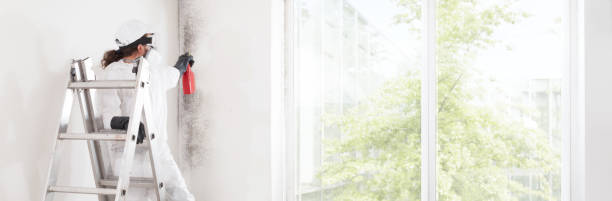 Best HVAC Mold Inspection and Cleaning  in Lake Elmo, MN