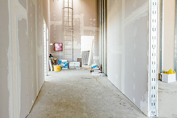 Best Commercial Mold Inspection  in Lake Elmo, MN
