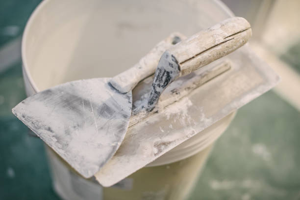 Professional Mold Removal in Lake Elmo, MN